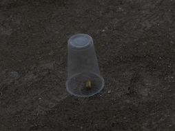 En el sitio se encontraron casquillos percutidos de armas larga y corta. EL INFORMADOR / ARCHIVO