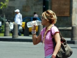 El agua contiene nutrientes esenciales para el adecuado funcionamiento de diversos procesos fisiológicos como la digestión. EL INFORMADOR / ARCHIVO