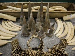 Las nuevas disposiciones completan las medidas ya tomadas en 2014 para luchar contra el tráfico de especies amenazadas. EFE / ARCHIVO