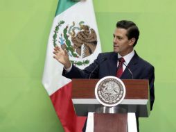 Esto ocurre luego de que Peña Nieto ordenara acciones de inconstitucionalidad contra de congresos de Quintana Roo y Veracruz. SUN / ARCHIVO