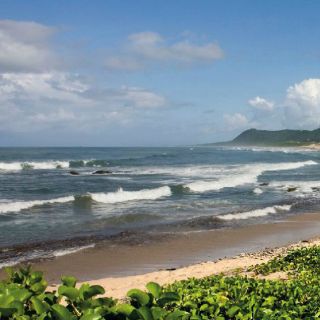 La Semarnat permite construcción de complejo turístico en Chalacatepec