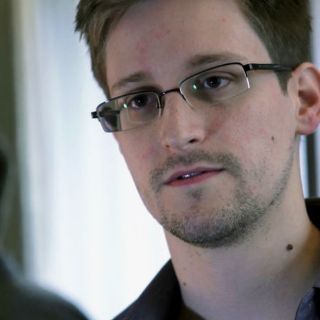 Documentos filtrados confirman que NSA fue víctima de plagio