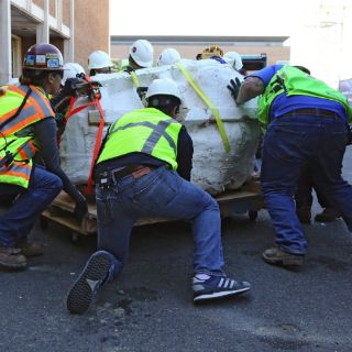 Encuentran el cráneo más grande de un Tyrannosaurus rex