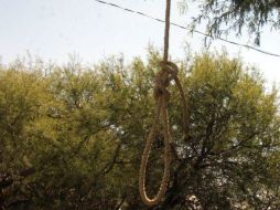 En México es urgente implementar acciones para atender y erradicar los problemas de fondo que genera este fenómeno. EL INFORMADOR / ARCHIVO