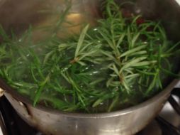 El consumo de dos litros al día protege al DNA y disminuye el porcentaje de lípidos en la sangre de manera significativa. ESPECIAL / bioga.com