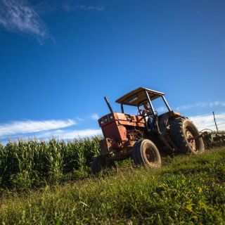 La Sagarpa eleva transparencia en tema agroalimentario