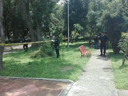 La agresión ocurrió en el Jardín Juan Manuel, en el cruce de las calles Tucídedes e Hidalgo. ESPECIAL /