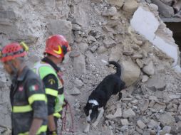 La Policía no ha cesado de peinar las calles del pueblo con perros especializados en detectar cuerpos. AFP /  F. Monteforte