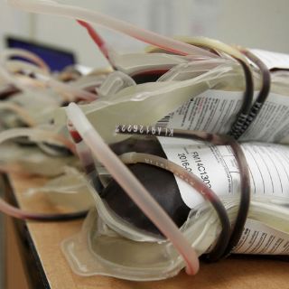 Examinarán en EU donaciones de sangre para detectar zika
