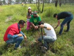 En lo que va del año, la fundación Extra ha logrado plantar 40 mil árboles. EL INFORMADOR / F. Atilano