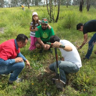 Extra apuesta por plantar cien mil árboles en este año