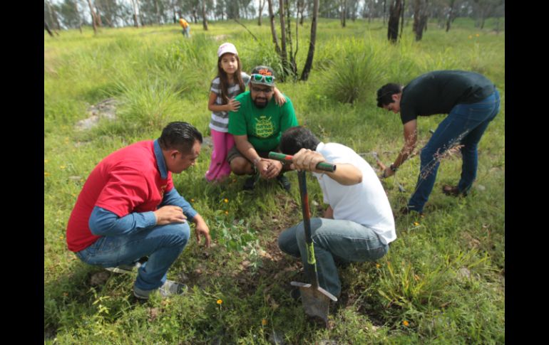 En lo que va del año, la fundación Extra ha logrado plantar 40 mil árboles. EL INFORMADOR / F. Atilano