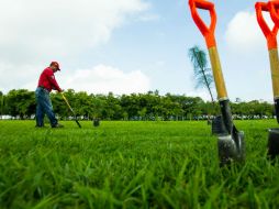 Los voluntarios trabajaron cuatro domingos. EL INFORMADOR / ARCHIVO
