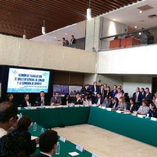 Castillo propone que expertos administre becas de Conade