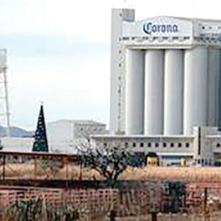 Modelo va con Corona a África