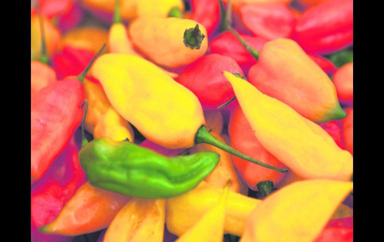 Los chiles son parte central de ambas gastronomías. ESPECIAL / G. Tubbeh