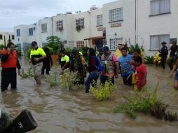 El operativo fue desplegado en Acapulco, Coyuca de Benítez, Atoyac de Álvarez y Tecpan de Galeana. NTX / ESPECIAL