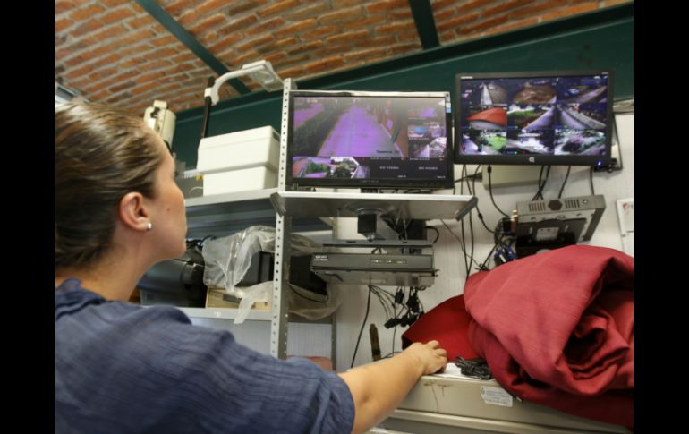 Las cámaras de videovigilancia permite a los dueños la detección de debilidades de los trabajadores y capacitarlos. EL INFORMADOR / ARCHIVO