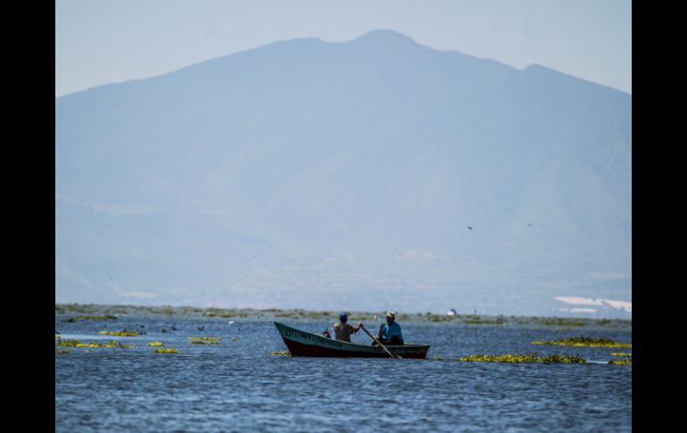 Las lluvias de los últimos días son las que han favorecido al Lago de Chapala. EL INFORMADOR / ARCHIVO