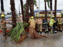 Aunque el ciclón tropical podría debilitarse durante las próximas horas, se mantendrán los protocolos de prevención. AP / E. Verdugo