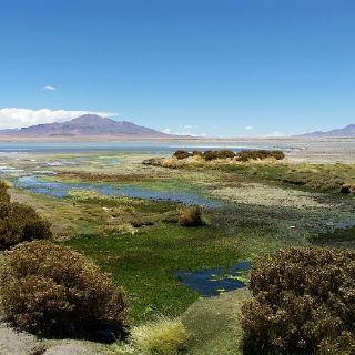Alarmante, desaparición de la naturaleza virgen de nuestro planeta
