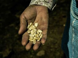 En el mundo hay 800 millones de personas que pasan hambre, a pesar de haber recursos para todos, están mal distribuidos. EL INFORMADOR / ARCHIVO