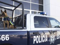 Elementos de la Fiscalía General del Estado arribaron al sitio para iniciar las indagatorias. TWITTER / @SSP_GobOax