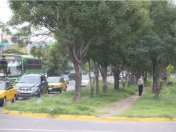 La SIOP señala que este tipo de proyectos ha tenido buen recibimiento. La Zona Sur contará con otra opción de distracción. EL INFORMADOR / R. Tamayo