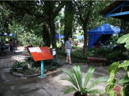 The Lake Chapala Society  espera que en los próximos cinco años la población extranjera que reside en la Ribera se incremente al doble. EL INFORMADOR / R. Tamayo