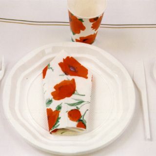 Francia prohíbe el uso de platos y cubiertos de plástico