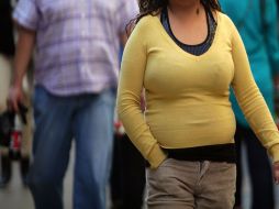 El organismo se crea debido a los altos índices de obesidad en la población. EFE / ARCHIVO