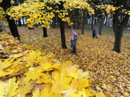 Una estación de color, textura y diversión. AFP / ARCHIVO