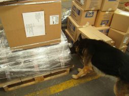 En total había 1.030 kilogramos de 'crystal'. NTX / ARCHIVO