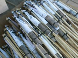 Los niños son los más afectados, particularmente en edades entre los 10 y 14 años. EL INFORMADOR / ARCHIVO