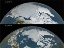 Los científicos culpan de estos cambios al cambio climático generado por el hombre. YOUTUBE / NASA.gov Video
