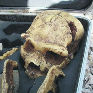 La cara humana pudo evolucionar debido a la expresión social: experto