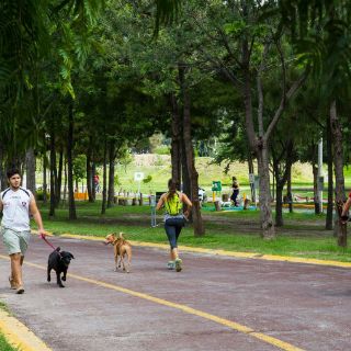 En octubre acaban obras en el Parque Metropolitano