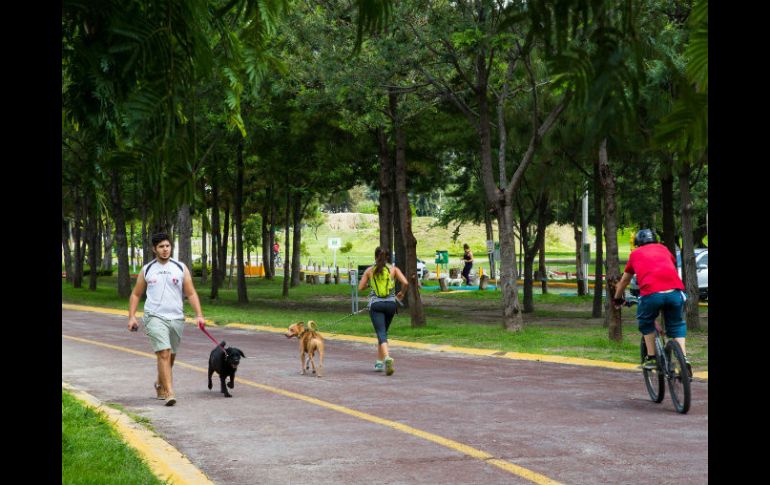 Además del lago, habrá obras complementarias como la planta de tratamiento y el sistema de riego. EL INFORMADOR / ARCHIVO