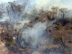 Los incendios no programados pueden ocurrir en cualquier momento debido a las condiciones meteorológicas y las actividades humanas. NTX / ARCHIVO