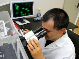 La mayoría de las enfermedades son atendidas cuando ya afectaron al organismo; es necesario impulsar la investigación preventiva. EFE / ARCHIVO