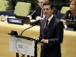 En Sesión Plenaria de la ONU, el Presidente de México exige que se garanticen los DH y se destierre la discriminación. AP / R. Drew
