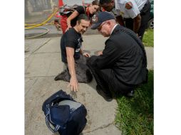 Hodge señala que había dos novelas completas almacenadas en su laptop. AP / The Advocate/M. Hinton