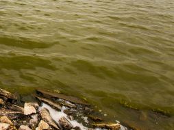 El accidente ocurrió la tarde de este miércoles en la localidad de José María Morelos. EL INFORMADOR / ARCHIVO