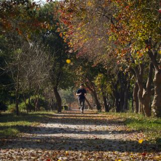 Este jueves inicia el Otoño en el Hemisferio Norte