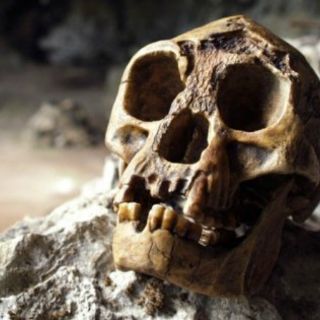 Los Homo sapiens, responsables de la desaparición de los 'hobbits'