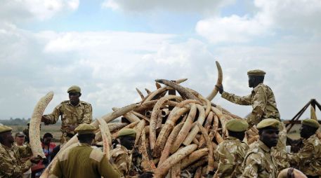 Los grupos delictivos lavan ingresos ilegales a través de mercados legales como la venta de piezas antiguas, afirman conservacionistas. AFP / T. Karumba