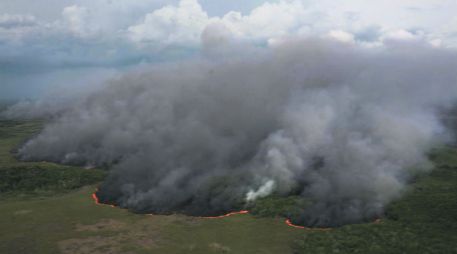 Las llamas llevan consumidas 500 hectáreas de vegetación. Autoridades aún no determinan la causa que inició la conflagración. EFE /