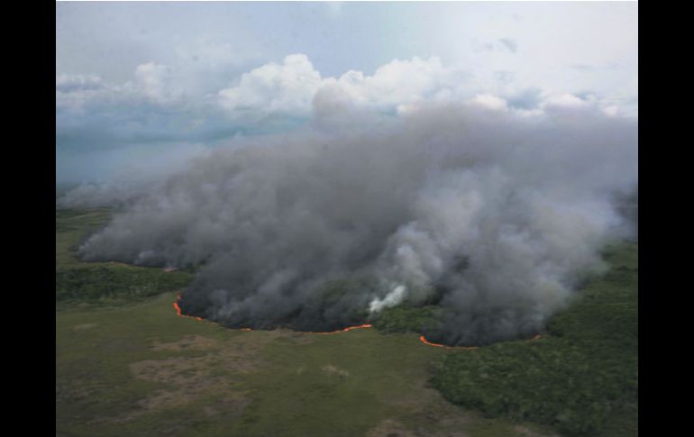 Las llamas llevan consumidas 500 hectáreas de vegetación. Autoridades aún no determinan la causa que inició la conflagración. EFE /
