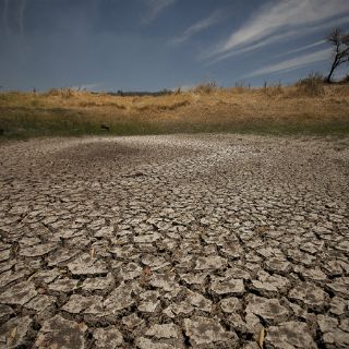 Temperatura aumentaría siete grados por efecto invernadero