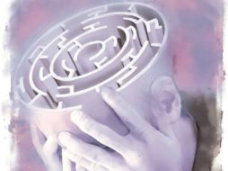 Indican que existen varias patologías que afectan el cerebelo, por lo que se presentan fallas en el control muscular. EL INFORMADOR / ARCHIVO